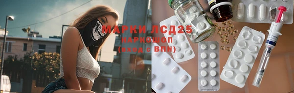 стаф Богородицк