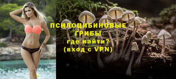 mix Богородск