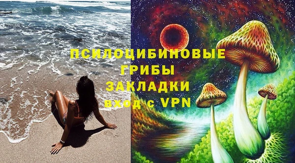 стаф Богородицк